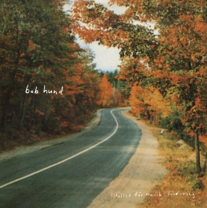 Bob Hund - Istället För Musik: Förvirring in the group VINYL / Upcoming releases / Pop-Rock,Svensk Musik at Bengans Skivbutik AB (5666137)