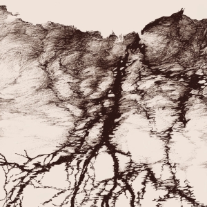 Ylva Ceder - Tree Vibrations in the group VINYL / New releases / Svensk Musik at Bengans Skivbutik AB (5667832)