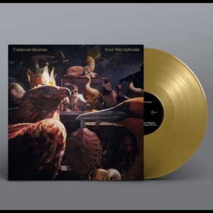 Trashcan Sinatras - Ever The Optimist in the group VINYL / Upcoming releases / World Music at Bengans Skivbutik AB (5667980)