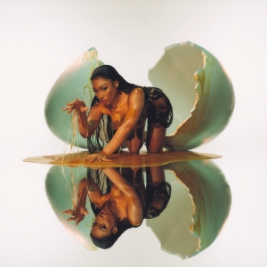 Megan Thee Stallion - Megan (Silver Vinyl Edition) in the group OTHER / -Start WMS at Bengans Skivbutik AB (5668146)