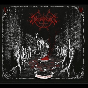 Drudensang - Verborgene Riten in the group CD / Upcoming releases / Hårdrock at Bengans Skivbutik AB (5668336)