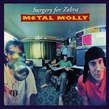 Metal Molly - Surgery For Zebra in the group OUR PICKS / Friday Releases / 2026-05-29 at Bengans Skivbutik AB (5669187)