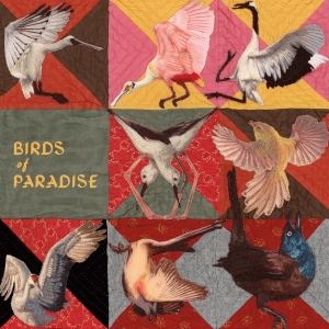 Thomas Dollbaum - Birds Of Paradise in the group VINYL / Upcoming releases / World Music at Bengans Skivbutik AB (5669361)