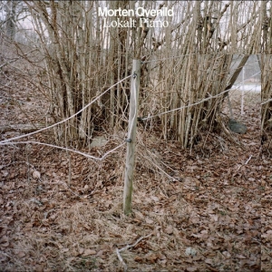 Morten Qvenild - Lokalt Piano in the group VINYL / Upcoming releases / Jazz at Bengans Skivbutik AB (5669444)