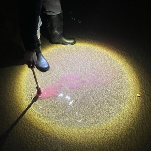 Diles Que No Me Maten - Escrito En Agua (Ltd. Sangre Luz Vi in the group VINYL / Upcoming releases / Pop-Rock at Bengans Skivbutik AB (5670640)