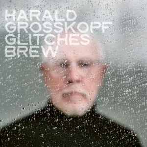 Harald Grosskopf - Glitches Brew in the group CD / Upcoming releases / Pop-Rock at Bengans Skivbutik AB (5670866)