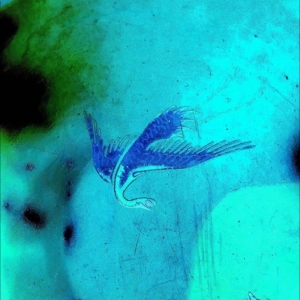 Schilling - Details in the group VINYL / Upcoming releases / Pop-Rock at Bengans Skivbutik AB (5670874)