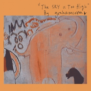 Graham Coxon - The Sky Is Too High in the group VINYL / Upcoming releases / Pop-Rock at Bengans Skivbutik AB (5670932)