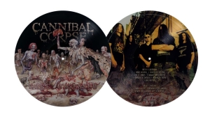 Cannibal Corpse - Gore Obsessed (Picture Disc Vinyl L in the group VINYL / Upcoming releases / Hårdrock at Bengans Skivbutik AB (5671326)