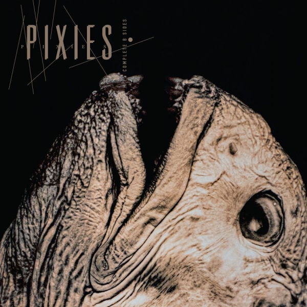 Pixies - Complete B Sides: 1988-97 (Ltd. Cry in the group VINYL / Upcoming releases / Pop-Rock at Bengans Skivbutik AB (5671424)