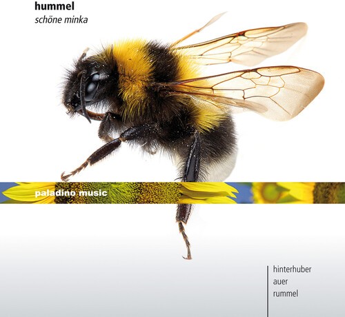 Johann Nepomuk Hummel - Schöne Minka in the group CD / Klassiskt at Bengans Skivbutik AB (5672894)