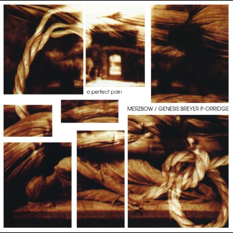 Merzbow / Genesis Breyer P-Orridge - A Perfect Pain in the group CD / Upcoming releases / Pop-Rock at Bengans Skivbutik AB (5673028)