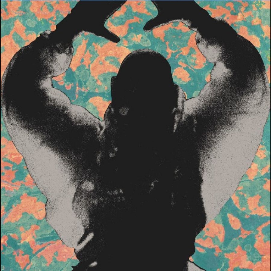 Startled Insects - The Antenna Years in the group VINYL / Upcoming releases / Pop-Rock at Bengans Skivbutik AB (5673092)