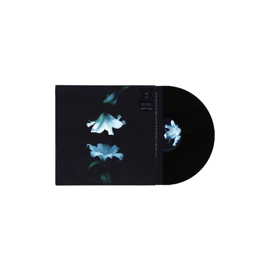 Wasia Project - Nocturne in the group VINYL / Upcoming releases at Bengans Skivbutik AB (5673117)