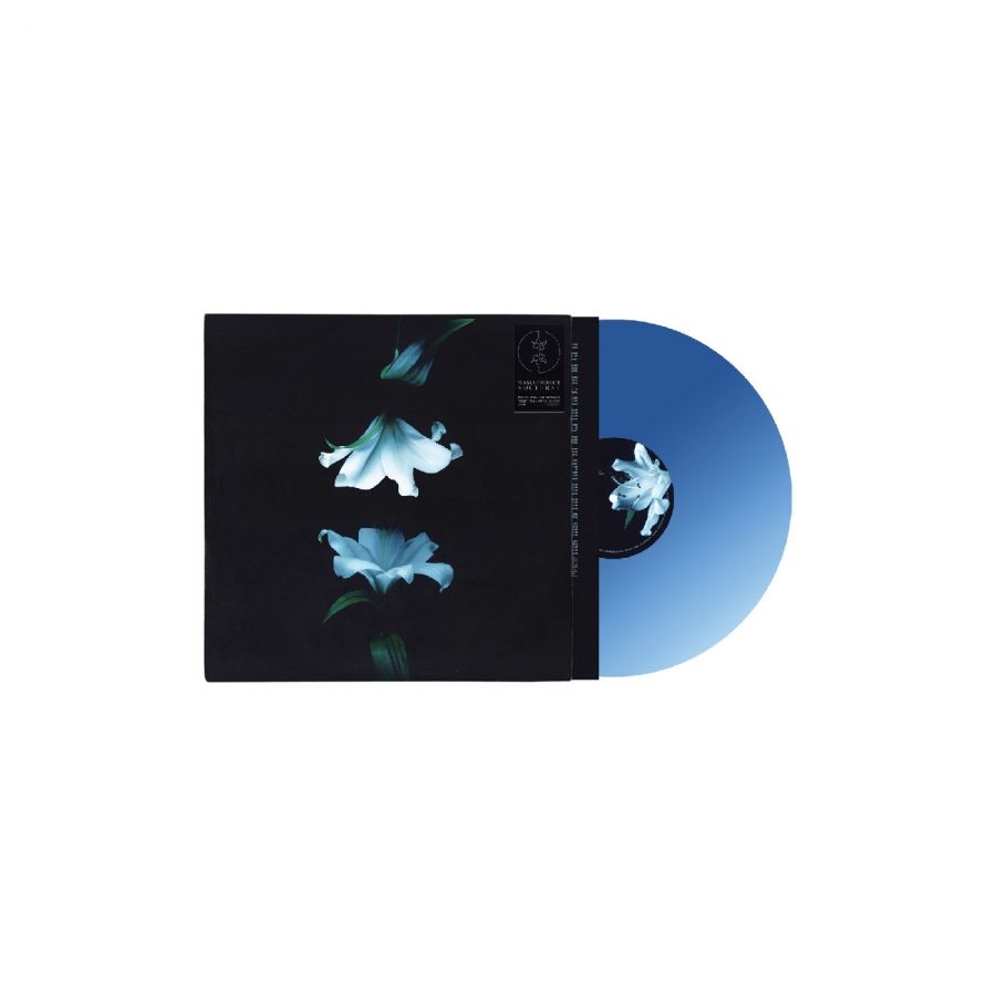 Wasia Project - Nocturne (Indies Exclusive Blue Vin in the group VINYL / Upcoming releases / Pop-Rock at Bengans Skivbutik AB (5673118)