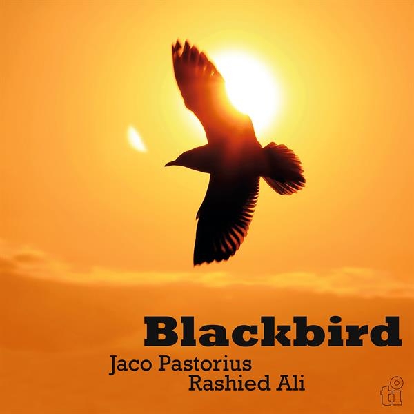 Jaco Pastorius & Rashied Ali - Blackbird in the group VINYL / Upcoming releases / Pop-Rock at Bengans Skivbutik AB (5675105)