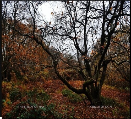 The Fields Of Hay - A Circle Of Skin in the group CD / Pop-Rock at Bengans Skivbutik AB (5675255)