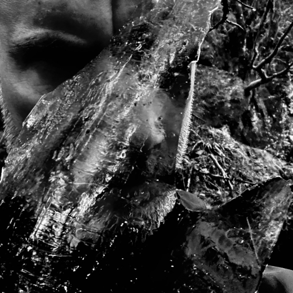 Taake - En Skog Av Nidstang (Cd Jewel Case) in the group CD / Upcoming releases / Hårdrock at Bengans Skivbutik AB (5676429)