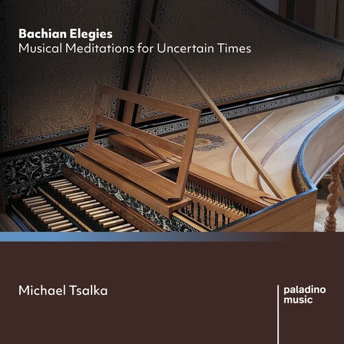 Michael Tsalka - Bachian Elegies - Musical Meditatio in the group CD / Klassiskt at Bengans Skivbutik AB (5676584)