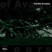 Mist Of Avalon - Tears in the group CD / Hårdrock,Svensk Folkmusik at Bengans Skivbutik AB (567754)