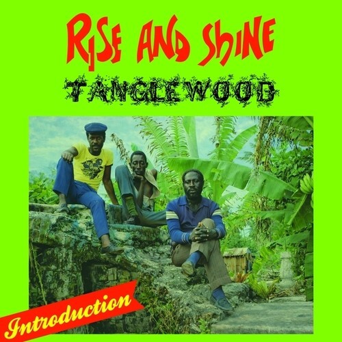 Tanglewood - Rise And Shine in the group VINYL / Bestsellers at Bengans Skivbutik AB (5678047)