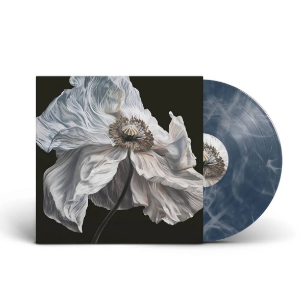 Quicksand - Bring On The Psychics in the group VINYL / Upcoming releases / Pop-Rock at Bengans Skivbutik AB (5678301)