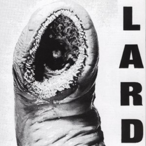 Lard - The Power Of Lard in the group VINYL / Pop-Rock at Bengans Skivbutik AB (5678481)