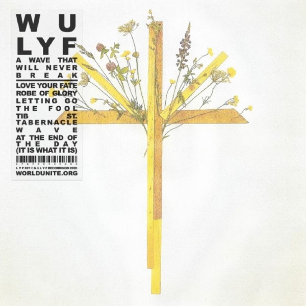 Wu Lyf - A Wave That Will Never Break in the group VINYL / New releases / Pop-Rock at Bengans Skivbutik AB (5678483)