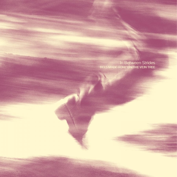 Bees Made Honey In The Vein Tree - In Between Strides (Digisleeve) in the group CD / Upcoming releases / Hårdrock at Bengans Skivbutik AB (5678862)