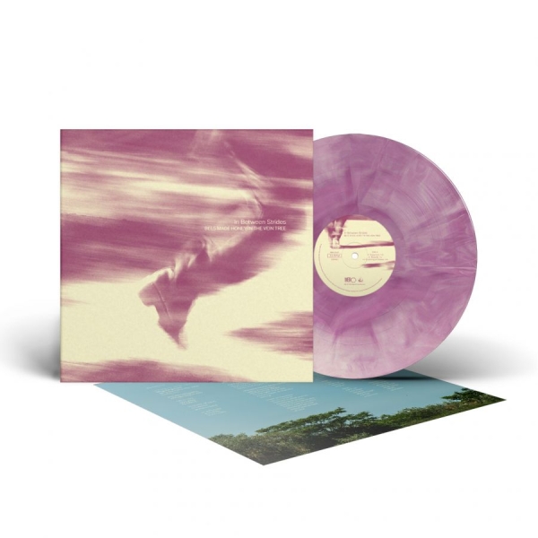 Bees Made Honey In The Vein Tree - In Between Strides (Galaxy Vinyl Lp in the group VINYL / Upcoming releases / Hårdrock at Bengans Skivbutik AB (5678863)