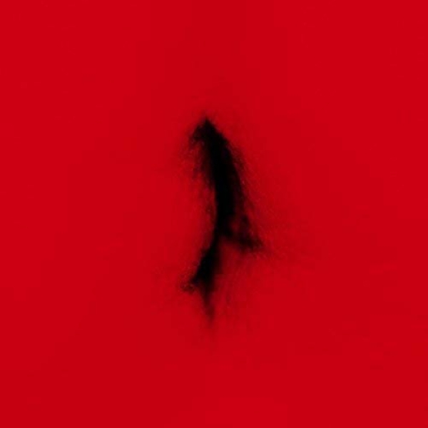 Dingwei - Untied in the group VINYL / Pop-Rock at Bengans Skivbutik AB (5679696)