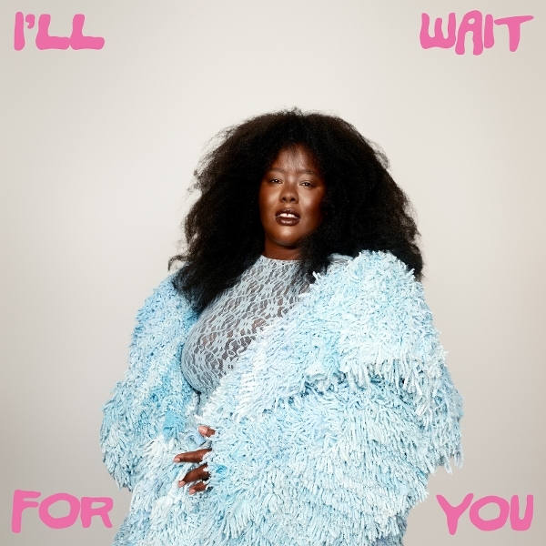 Nnavy - I'll Wait For You in the group VINYL / Upcoming releases / Pop-Rock at Bengans Skivbutik AB (5680230)