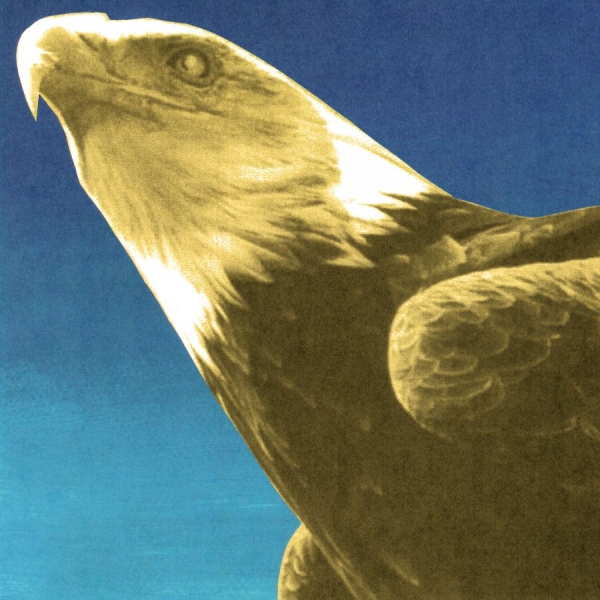 Protomartyr - Hotel Usona in the group CD / Upcoming releases / Pop-Rock at Bengans Skivbutik AB (5680268)