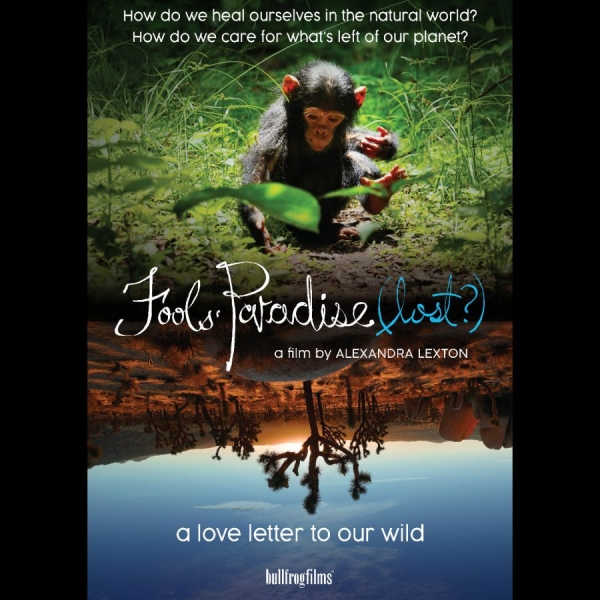 Various Artists - Fools' Paradise (Lost?) in the group OTHER / Music-DVD & Bluray / Kommande at Bengans Skivbutik AB (5681859)