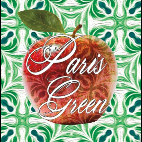 Paris Green - Paris Green in the group CD / New releases / Pop-Rock at Bengans Skivbutik AB (5682021)