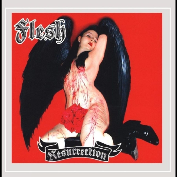 Flesh - Resurrection in the group CD / New releases / Pop-Rock at Bengans Skivbutik AB (5682243)
