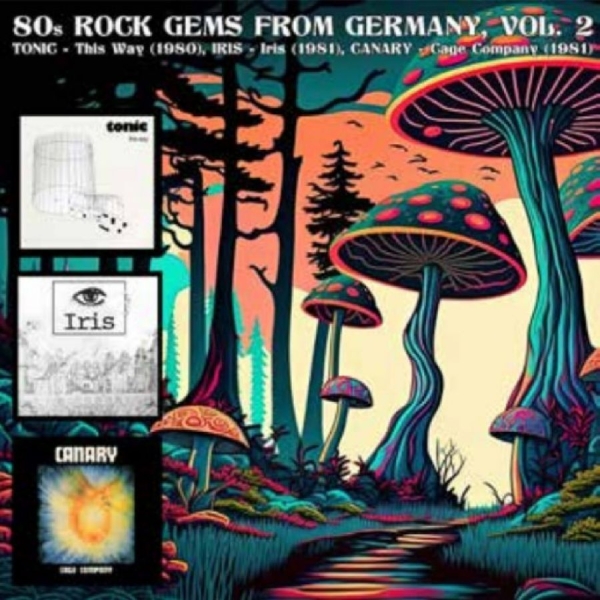 Various Artists - 80S Rock Gems From Germany Vol. 2 in the group VINYL / Upcoming releases / Pop-Rock at Bengans Skivbutik AB (5682748)