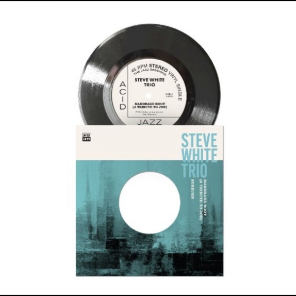 Steve White Trio - Mandrake Root (A Tribute To Jon) in the group VINYL / Upcoming releases / Jazz at Bengans Skivbutik AB (5682807)