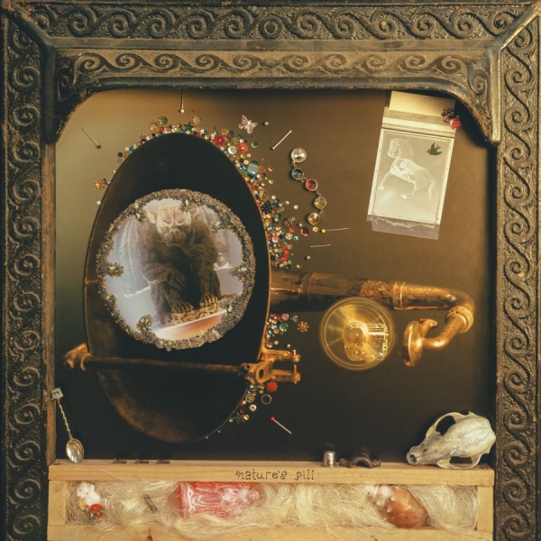 Wishy - Nature's Pill in the group VINYL / Upcoming releases / Pop-Rock at Bengans Skivbutik AB (5683560)