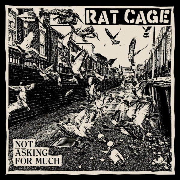 Rat Cage - Not Asking For Much in the group VINYL / Upcoming releases / Pop-Rock at Bengans Skivbutik AB (5685851)