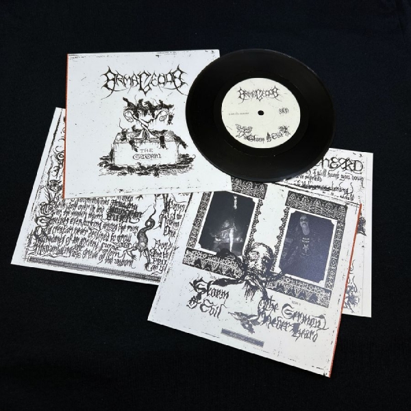 Armagedda - The Storm in the group VINYL / New releases / Hårdrock at Bengans Skivbutik AB (5685980)