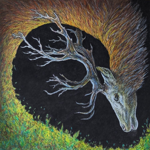 Petrels - Infangthief (Deluxe Edition, Clear in the group VINYL / Upcoming releases / Pop-Rock at Bengans Skivbutik AB (5686010)