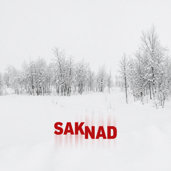 Saknad - Saknad (Black Vinyl LP) in the group VINYL / New releases / Pop-Rock at Bengans Skivbutik AB (5686143)