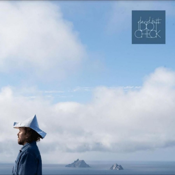 Kitt David - Idiot Check in the group VINYL / Bestsellers at Bengans Skivbutik AB (5687622)