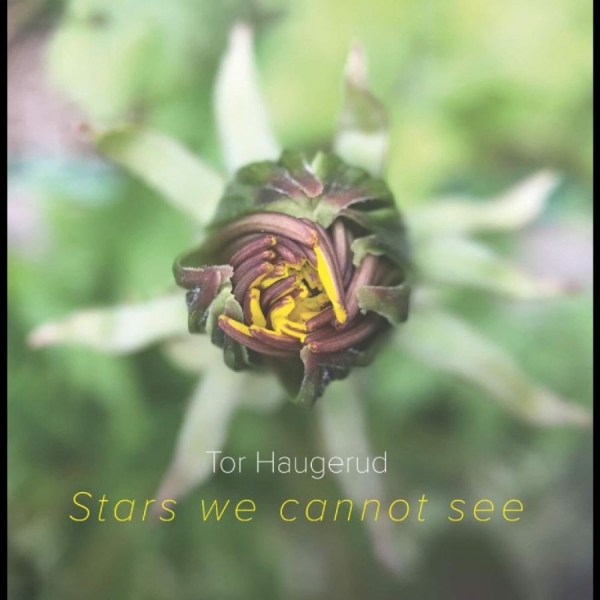 Haugerudtor - Stars We Cannot See (Vinyl) in the group VINYL / Jazz at Bengans Skivbutik AB (5687891)