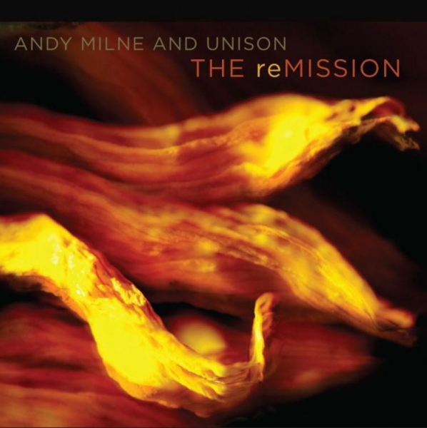 Milne Andy (And Unison) - Remission in the group CD / Bestsellers at Bengans Skivbutik AB (5687971)