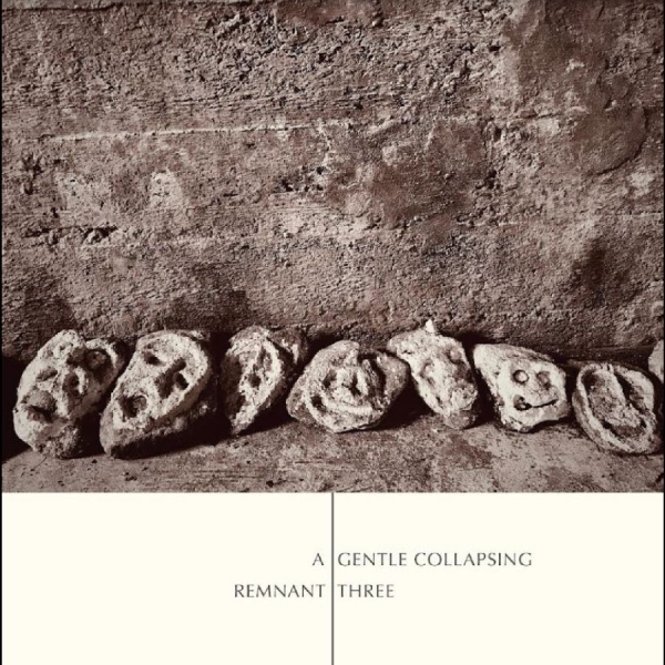 Remnant Three - A Gentle Collapsing in the group VINYL / Bestsellers at Bengans Skivbutik AB (5688172)