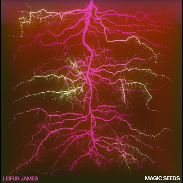 Leifur James - Magic Seeds in the group VINYL / Bestsellers at Bengans Skivbutik AB (5688183)