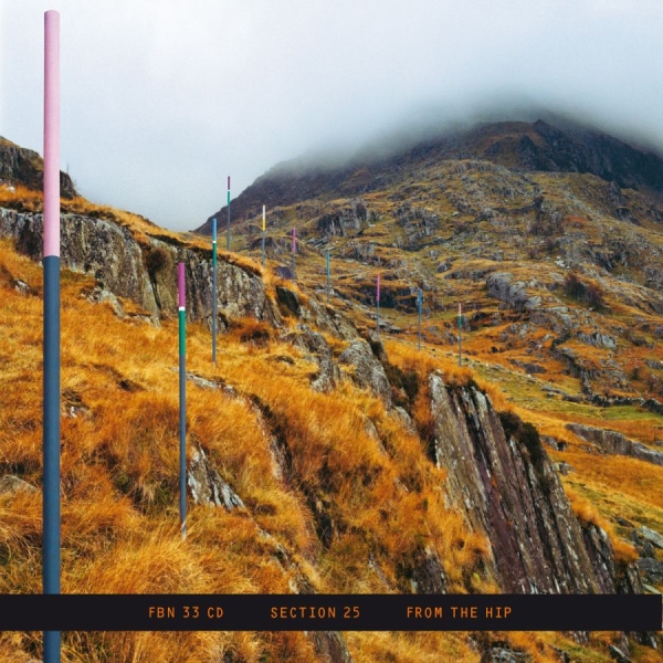 Section 25 - From The Hip in the group CD / Bestsellers at Bengans Skivbutik AB (5688676)
