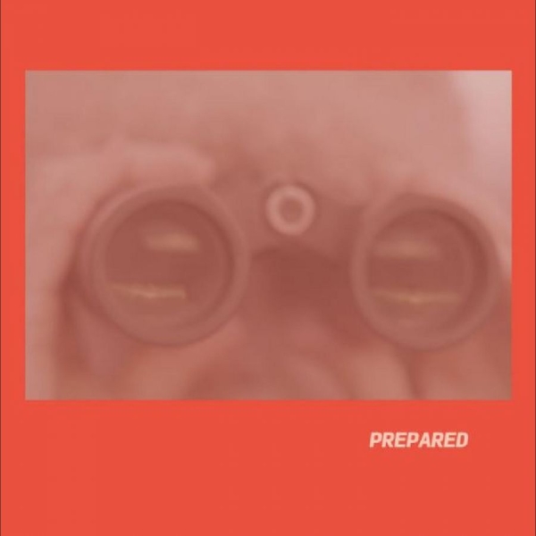 Martin Laura J - Prepared in the group CD / Bestsellers at Bengans Skivbutik AB (5688881)